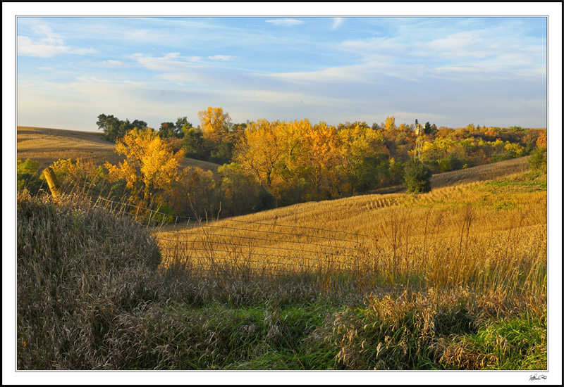 Harvest Vision