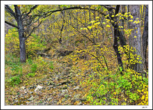 Blanketed Stream Bed