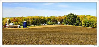 Edge Of Autumn