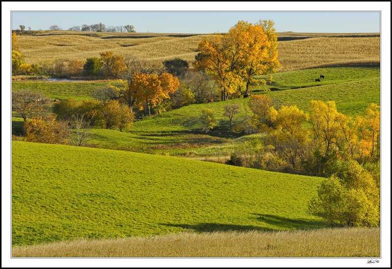 Fall Outlines