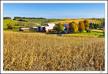 Autumn Farm