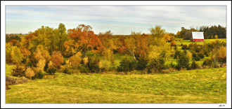 Autumn Splendor