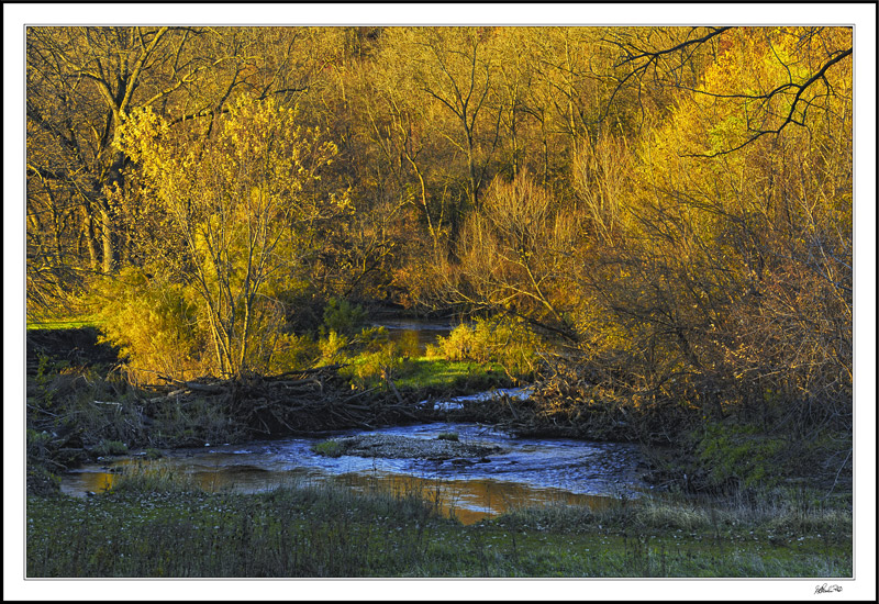 Natural Tapestry