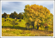 Organic Autumn Scene