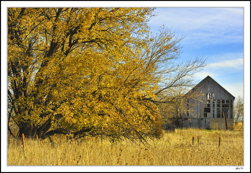 Pastoral Contemporaries Embrace