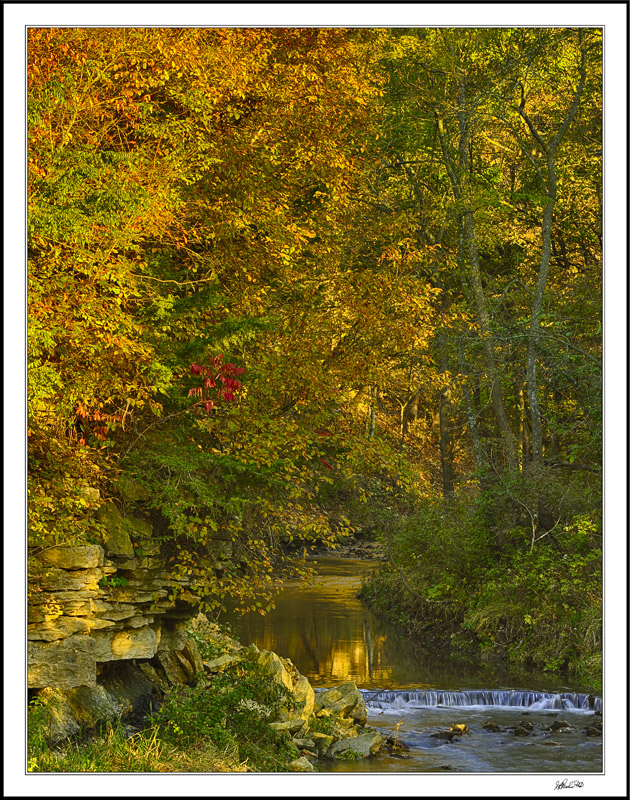 Autumn In Orman Hollow II
