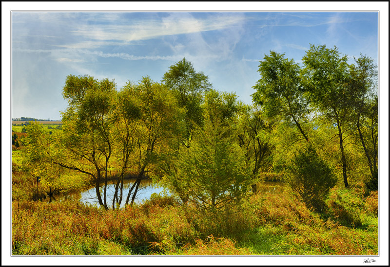 Cloistered Pond In Fall Foliage
