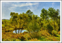 Cloistered Pond In Fall Foliage
