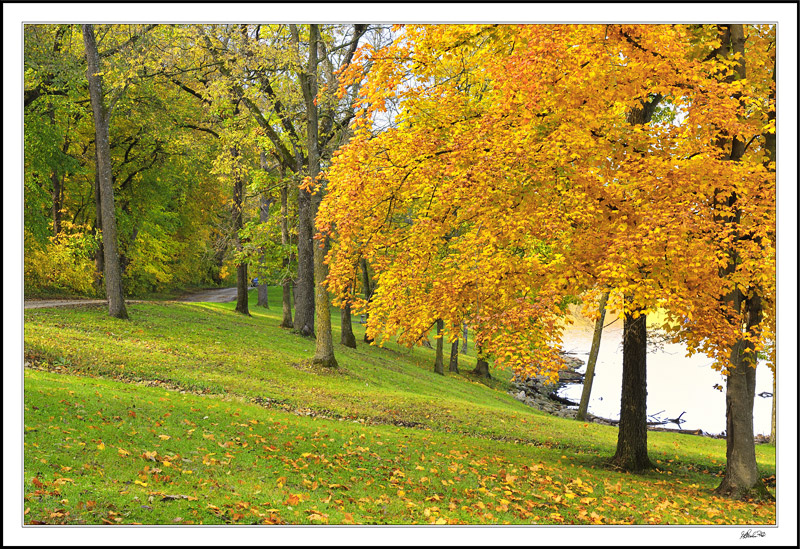 Lakeside Fall I
