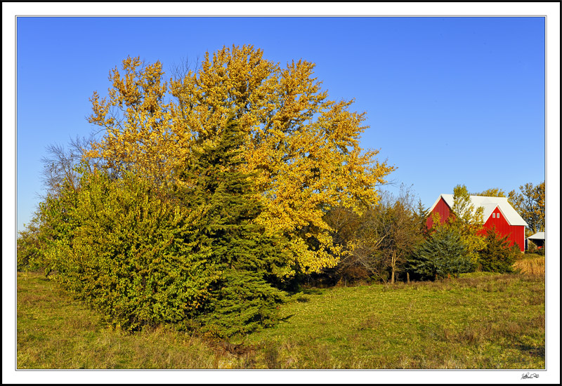 Fall Juxtaposed
