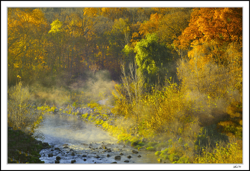 Fall Profusion