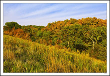 Autumn Hillside