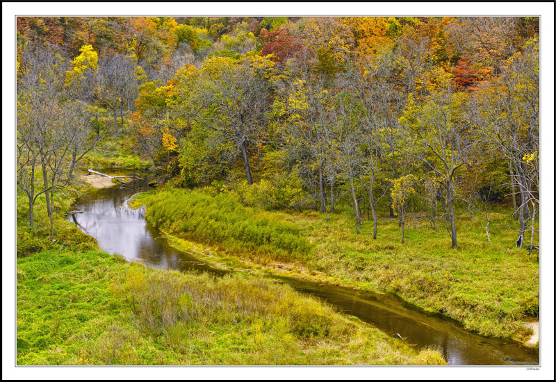 Stream's Autumn Audience