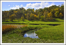 Woodlands Stream & Graze
