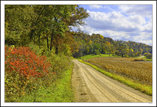 Mitchell Mill Road