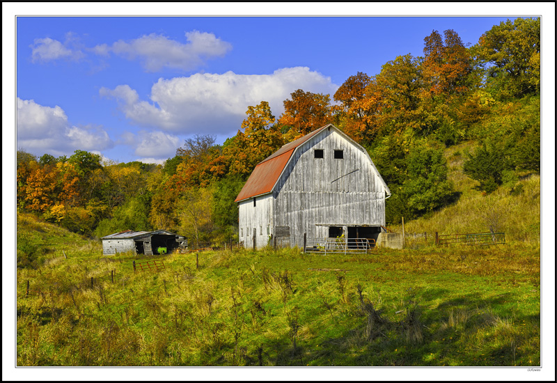 Foliage Ridge