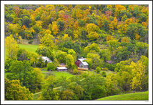 Nestled Farmstead