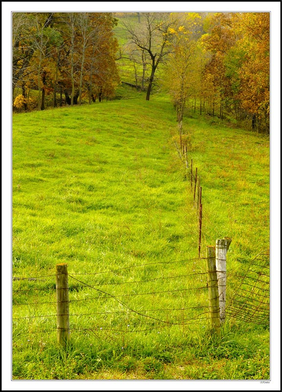 Fenceline Meets Treeline