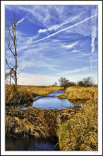 Sky Whisked Beaver Dam