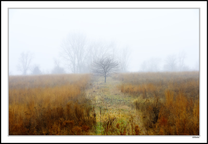 Fog Shrouded Pathway