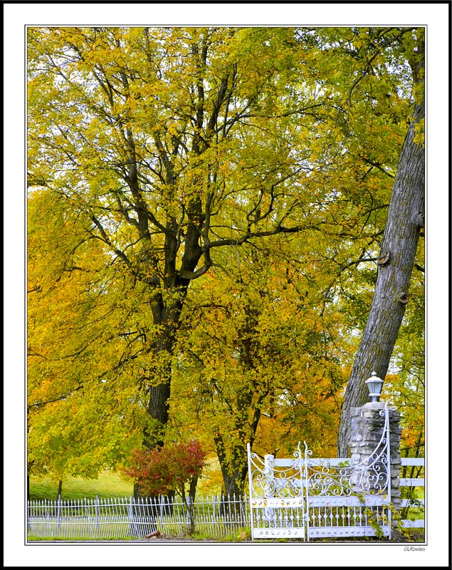 Fall Splendor At The Gate