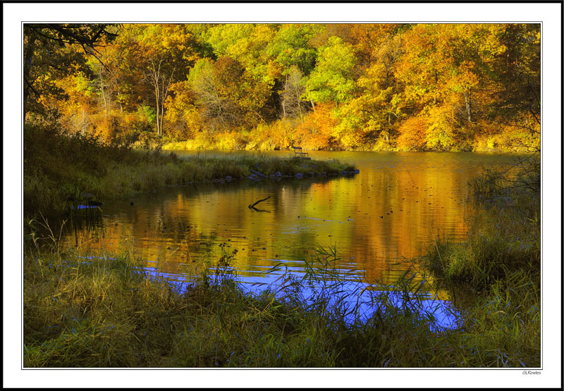 Autumn Seclusion