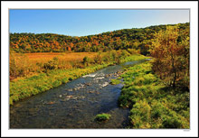 Bear Creek Runs Through A Riot Of Color