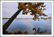 Autumn Tones Frame The Cloud-Muted Sunrise