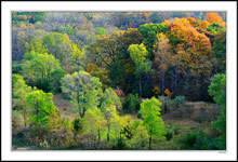 Autumn Stages Showcased At Sunset