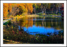 Autumn Beauty Enriches A Private Drive