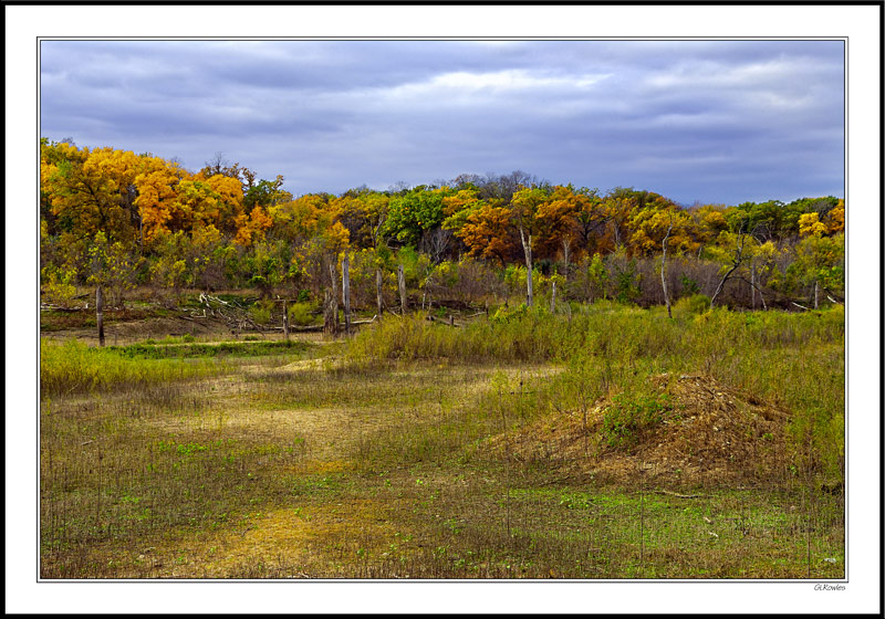 Old Riverbed Framed In Autumn Hues