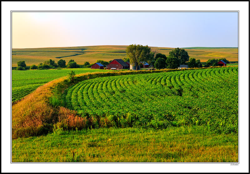 Terraced Farming In Loess Hills