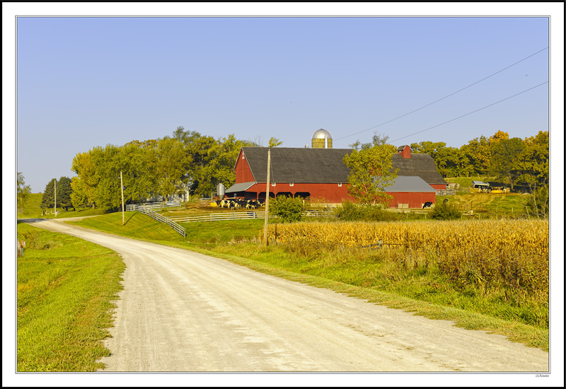 Roadside Attraction