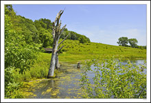 Across the Pond II