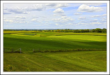 Make Hay While the Sun Shines