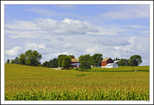 Farmer's Nest