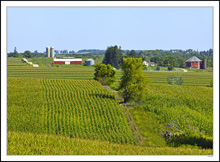 Rollercoaster Road to the 8-Sided Barn