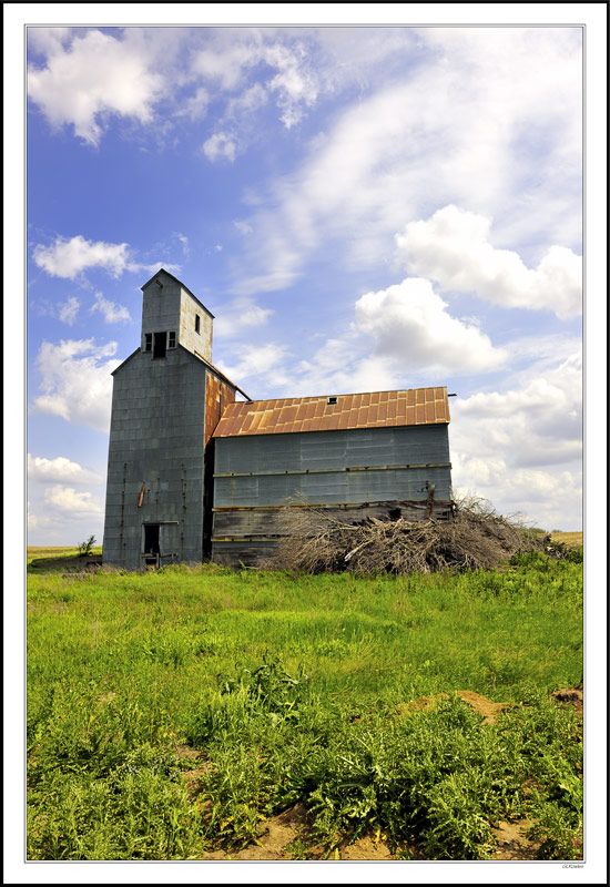 Abandoned But Standing Tall