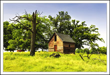 Red Shed & Companion