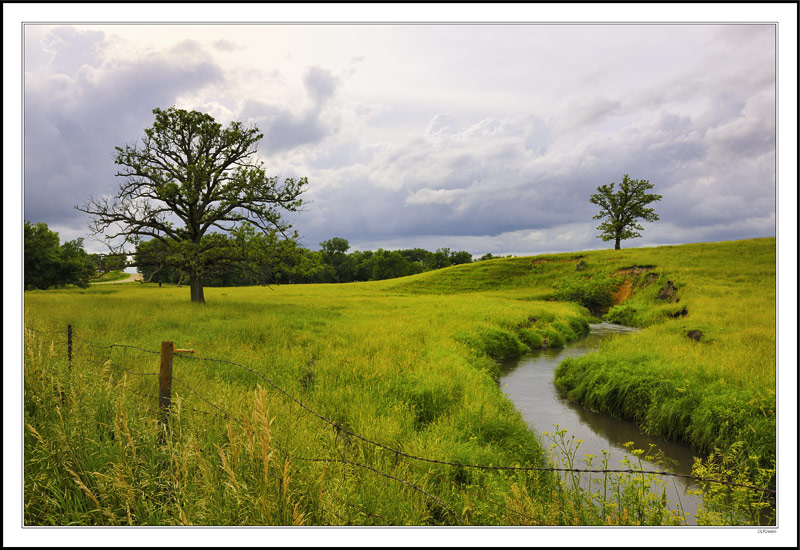 Rain-Swollen Crick