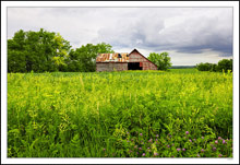 Red Barn in a Yellow-Green Field