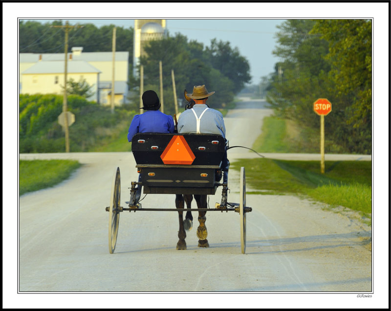 Mennonite Travels