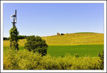 Rolling Bales