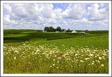 White On Green