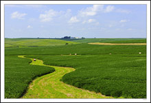 Baled Stream II