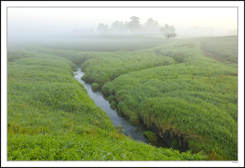 Soft Contours & Morning Fog