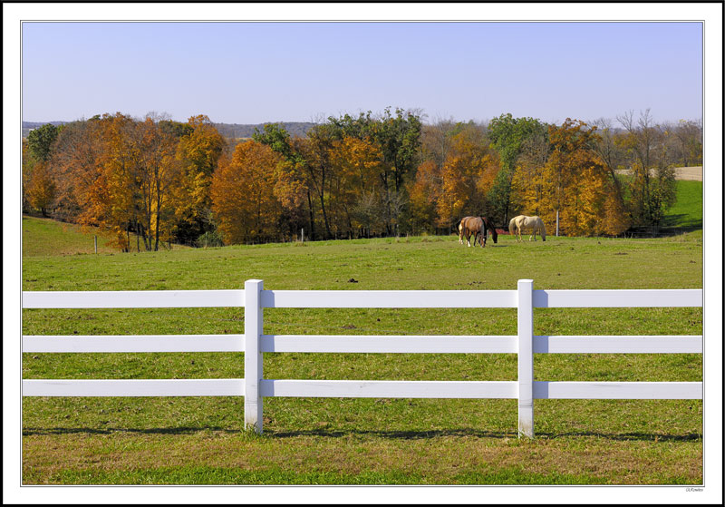 Pastoral Poetry