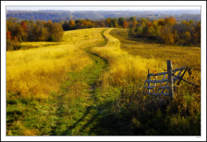 Sensuous Pathway