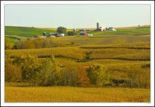 Rolling Terraces