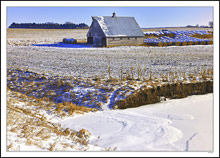 Winter Provisions